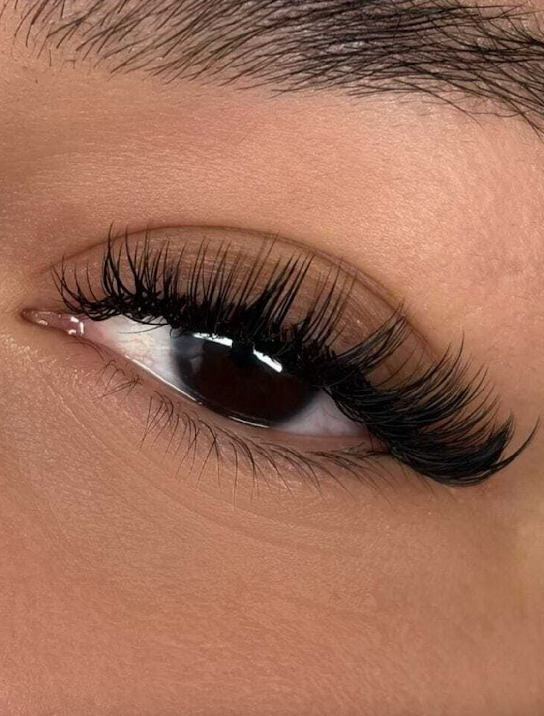 Everything You Need to Know About Lash Extensions