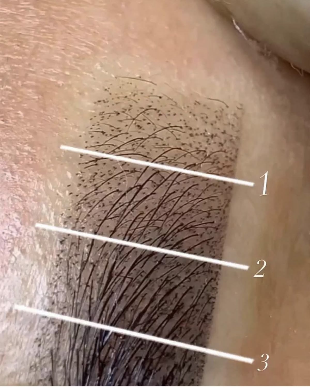 Lip & Brow Combo Cosmetic Tattoo Course