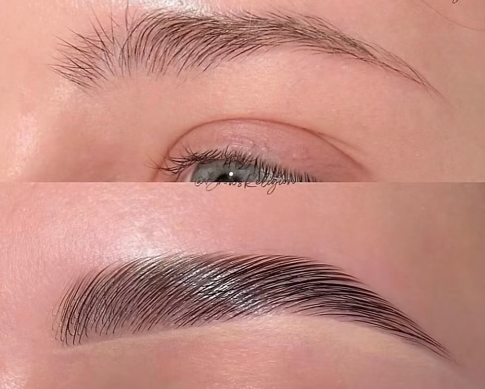 Brow Mastery Course