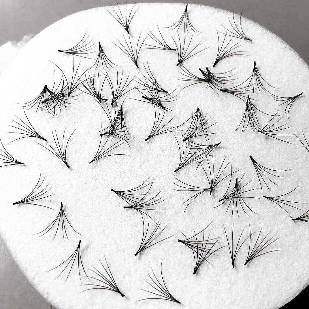 Promade 5D Volume Loose Fans 0.07 – 1000 Fans