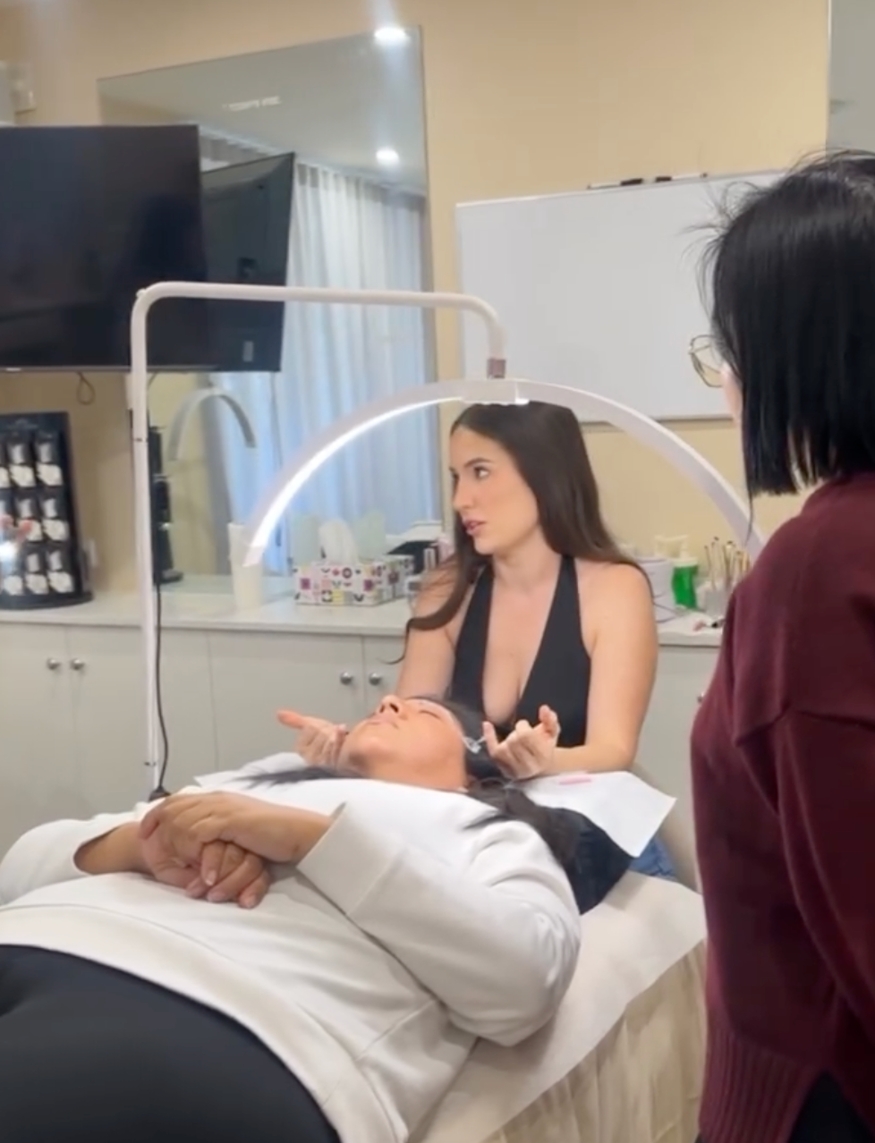 Airbrush Brows Course