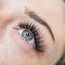 Load image into Gallery viewer, Volume Lashes 0.05mm C Curl - 16 lines
